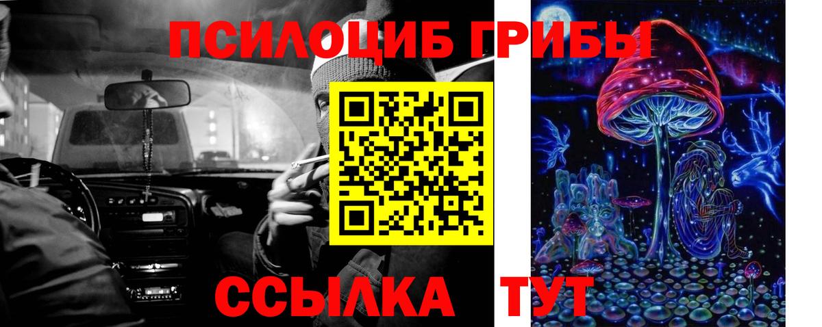 Зеленокумск  Галлюциногенные грибы прущие грибы  Вход с VPN  Галлюциногенные грибы Psilocybine cubensis 